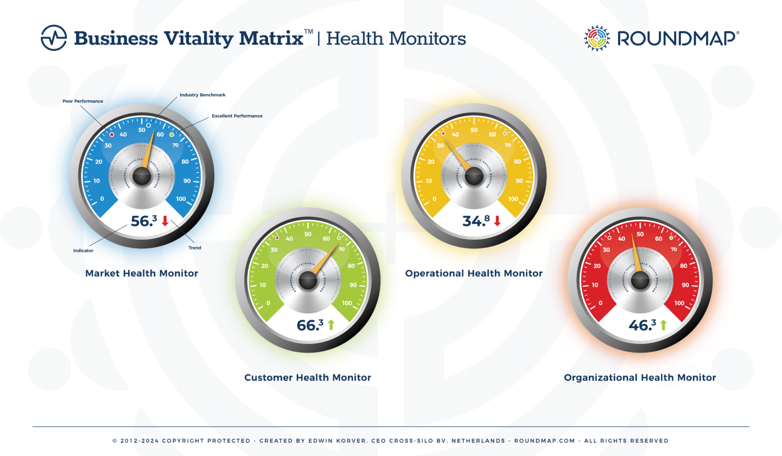 RoundMap_Business_Vitality_Matrix_Health_Monitors_Copyright_Protected_2023